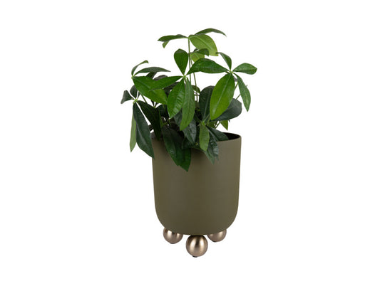 Plant Pot Estilo Large
